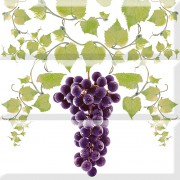 grapes 05