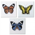 atelier butterfly "1 Бабочка" 10*10 (3шт в упак.)