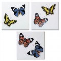 atelier butterfly "2 Бабочки" 10*10 (3шт в упак.)